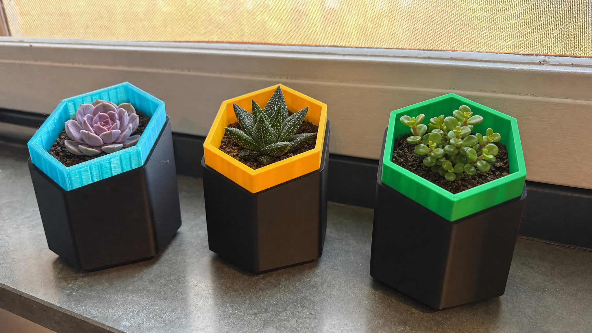 Hexagon Plantenbakjes 2