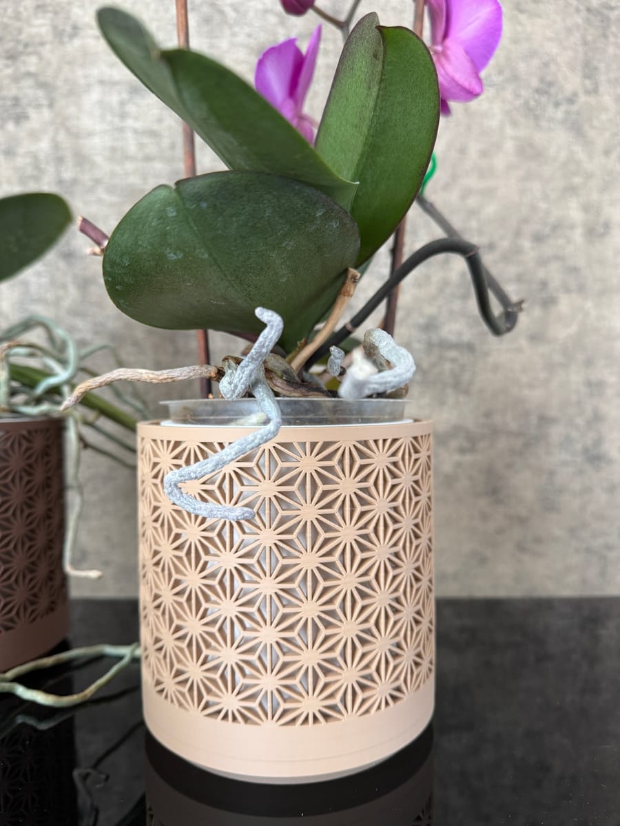 Kumiko orchidee pot 2